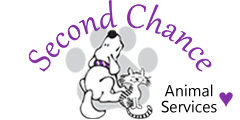Secound chance animal shelter